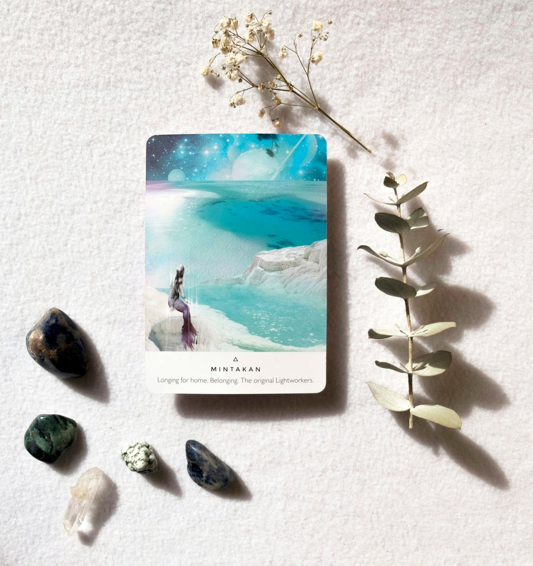 Tarot card with crystals and dried flowers on white background