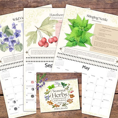 2026 Seasonal Herbs Calendar Calendar Sophie's Attic