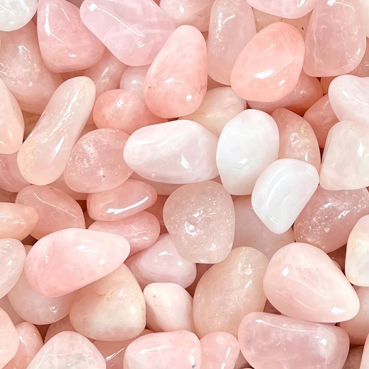 Rose Quartz Tumbled Stones - 1 pound crystal by Sophie's Attic