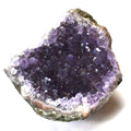 Amethyst Crystal Geode 1 lb from Uruguay - Altar, Display & Healing fossil Sophie's Attic