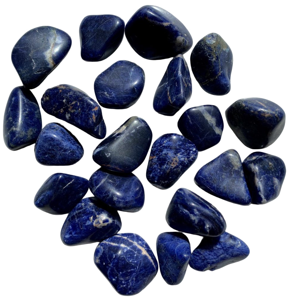 Sodalite Tumbled Stones - 1 pound crystal by Sophie's Attic